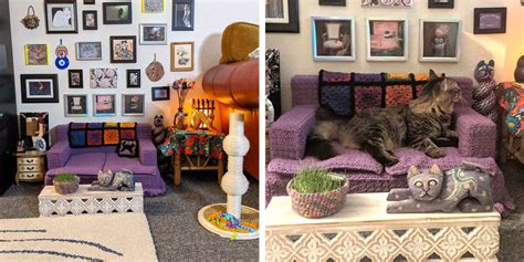 Woman Creates The Purrfect Living Room For Her Cats